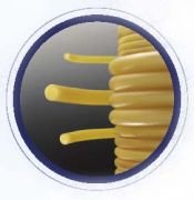 Lateks Hortum, 2x6 mm - 5 Mt.