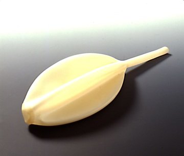 Kauçuk Balon Puar