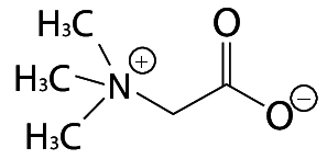 BETAİN %45 CHEM PURE - 5 KG