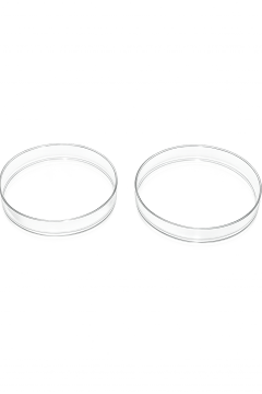 Petri Kabı  Cam