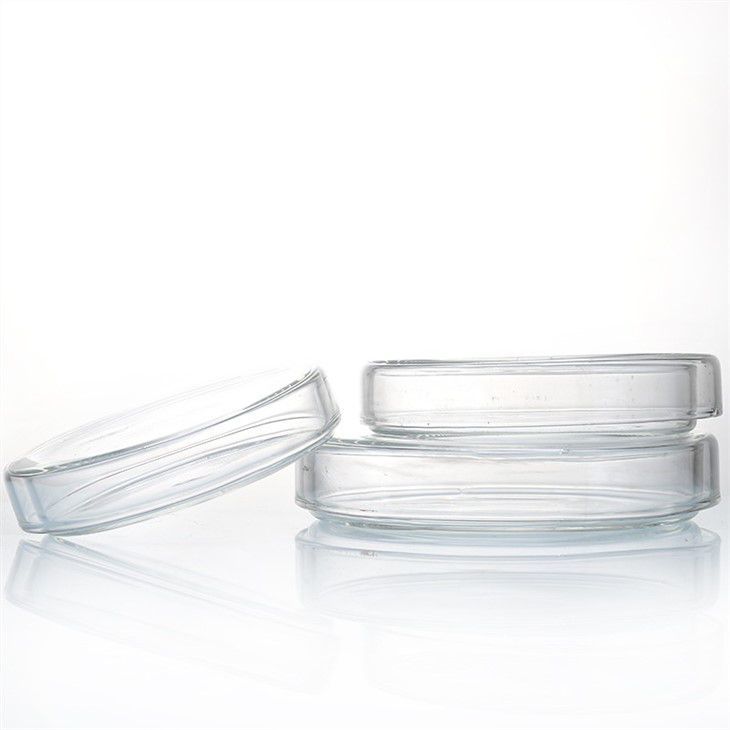 PETRİ KABI CAM 100 CM