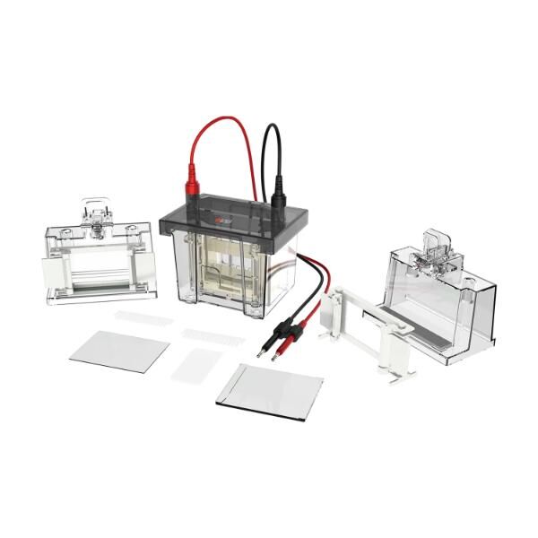 Elektroforez Tankı DL-Mini01 - Vertical electrophoresis tank