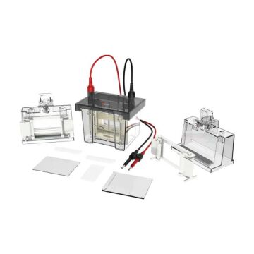 Elektroforez Tankı DL-Mini01 - Vertical electrophoresis tank