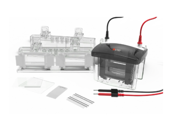 Elektroforez Tankı DL-Mini04 - Vertical electrophoresis tank