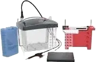 Elektroforez Tankı DL-ZY03 - Transfer electrophoresis tank