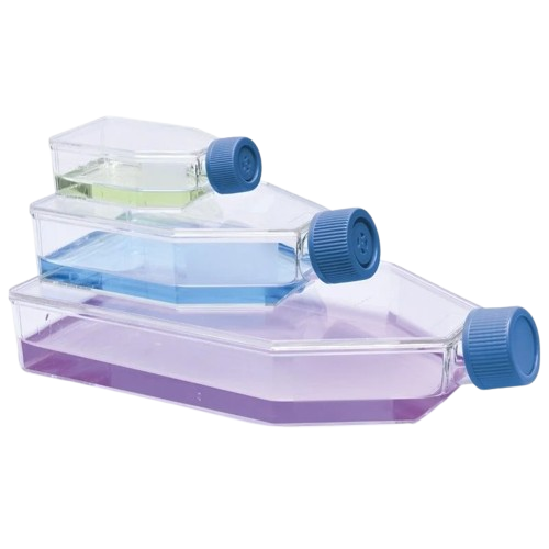 Şişe - Hücre Kültürü - Geçirgen Kapaklı -  (PAKETLİ SATILIR)